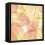 Autumn Leaves-AKaiser-Framed Stretched Canvas