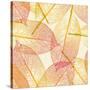 Autumn Leaves-AKaiser-Stretched Canvas