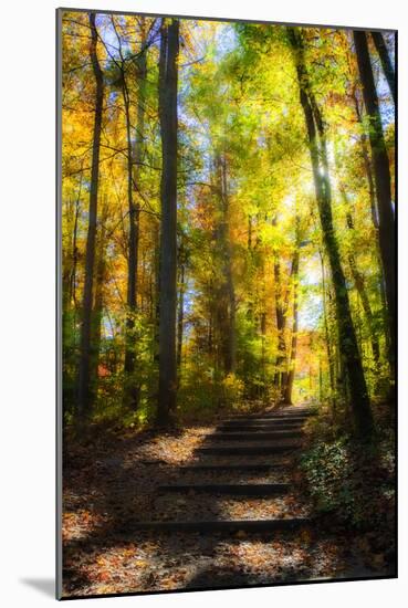 Autumn Light I-Alan Hausenflock-Mounted Photographic Print