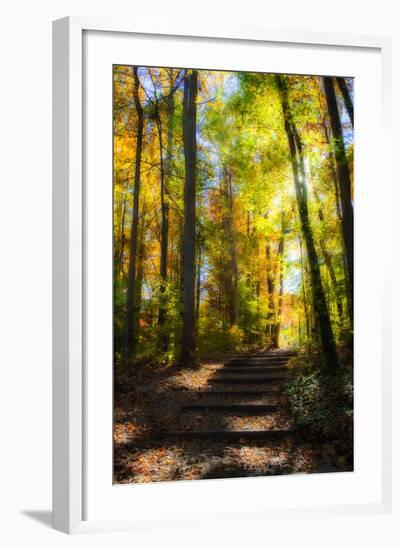Autumn Light I-Alan Hausenflock-Framed Photographic Print