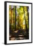 Autumn Light I-Alan Hausenflock-Framed Photographic Print