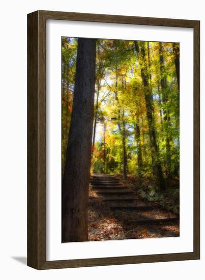 Autumn Light II-Alan Hausenflock-Framed Photographic Print