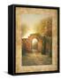 Autumn Light II-Michael Marcon-Framed Stretched Canvas