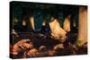 Autumn Light Penetrates a Forested Area of Richmond Park-Alex Saberi-Stretched Canvas