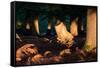 Autumn Light Penetrates a Forested Area of Richmond Park-Alex Saberi-Framed Stretched Canvas