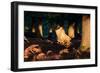 Autumn Light Penetrates a Forested Area of Richmond Park-Alex Saberi-Framed Photographic Print