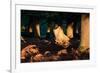 Autumn Light Penetrates a Forested Area of Richmond Park-Alex Saberi-Framed Photographic Print