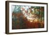 Autumn Light-Viviane Fedieu Daniel-Framed Photographic Print