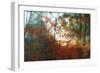 Autumn Light-Viviane Fedieu Daniel-Framed Photographic Print