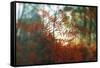 Autumn Light-Viviane Fedieu Daniel-Framed Stretched Canvas