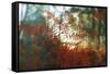 Autumn Light-Viviane Fedieu Daniel-Framed Stretched Canvas