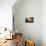 Autumn Light-Viviane Fedieu Daniel-Photographic Print displayed on a wall