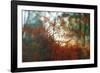 Autumn Light-Viviane Fedieu Daniel-Framed Photographic Print