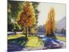 Autumn Light-Graham Gercken-Mounted Art Print