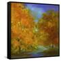 Autumn Light-Sheila Finch-Framed Stretched Canvas