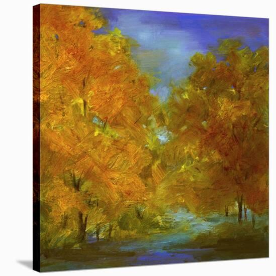 Autumn Light-Sheila Finch-Stretched Canvas