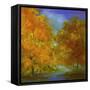 Autumn Light-Sheila Finch-Framed Stretched Canvas