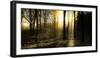 Autumn Lights-Adelino Gonçalves-Framed Photographic Print