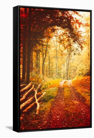 Autumn Lights-Philippe Sainte-Laudy-Framed Stretched Canvas