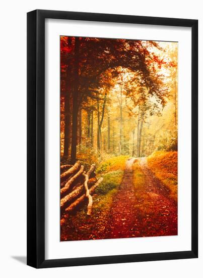 Autumn Lights-Philippe Sainte-Laudy-Framed Photographic Print
