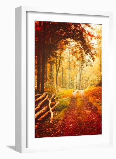 Autumn Lights-Philippe Sainte-Laudy-Framed Photographic Print