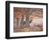 Autumn Lord-Alex Saberi-Framed Photographic Print