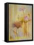 Autumn Lotus-Ailian Price-Framed Stretched Canvas