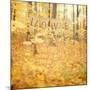 Autumn Love-Irene Suchocki-Mounted Giclee Print