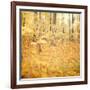 Autumn Love-Irene Suchocki-Framed Giclee Print