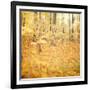 Autumn Love-Irene Suchocki-Framed Giclee Print