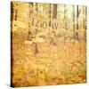 Autumn Love-Irene Suchocki-Stretched Canvas