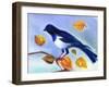 Autumn Magpie, 2012-Nancy Moniz Charalambous-Framed Giclee Print