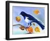 Autumn Magpie, 2012-Nancy Moniz Charalambous-Framed Giclee Print