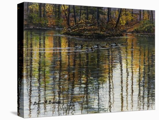 Autumn Mallards-Bruce Dumas-Stretched Canvas