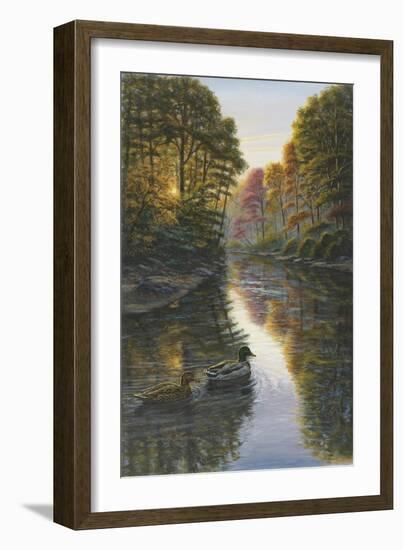 Autumn Mallards-Bruce Dumas-Framed Giclee Print