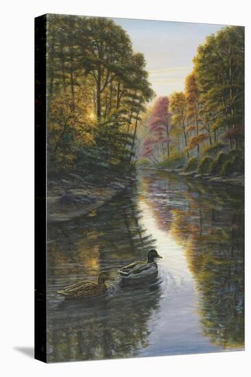 Autumn Mallards-Bruce Dumas-Stretched Canvas