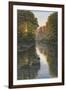 Autumn Mallards-Bruce Dumas-Framed Giclee Print