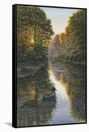 Autumn Mallards-Bruce Dumas-Framed Stretched Canvas