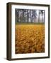 Autumn, Manito Park, Spokane, Washington, USA-Charles Gurche-Framed Photographic Print