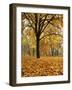 Autumn, Manito Park, Spokane, Washington, USA-Charles Gurche-Framed Photographic Print