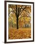 Autumn, Manito Park, Spokane, Washington, USA-Charles Gurche-Framed Photographic Print