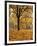 Autumn, Manito Park, Spokane, Washington, USA-Charles Gurche-Framed Photographic Print