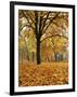 Autumn, Manito Park, Spokane, Washington, USA-Charles Gurche-Framed Photographic Print