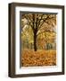 Autumn, Manito Park, Spokane, Washington, USA-Charles Gurche-Framed Photographic Print