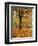 Autumn, Manito Park, Spokane, Washington, USA-Charles Gurche-Framed Photographic Print