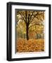 Autumn, Manito Park, Spokane, Washington, USA-Charles Gurche-Framed Photographic Print