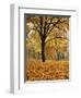 Autumn, Manito Park, Spokane, Washington, USA-Charles Gurche-Framed Photographic Print