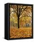 Autumn, Manito Park, Spokane, Washington, USA-Charles Gurche-Framed Stretched Canvas