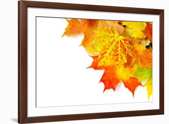 Autumn Maple Leafs Isolated on a White-Vitaliy Pakhnyushchyy-Framed Photographic Print