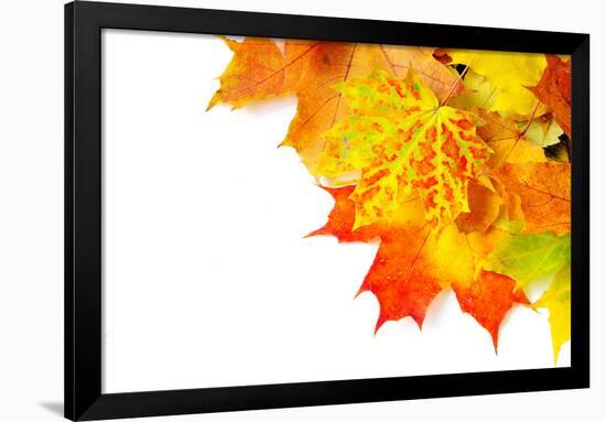 Autumn Maple Leafs Isolated on a White-Vitaliy Pakhnyushchyy-Framed Photographic Print